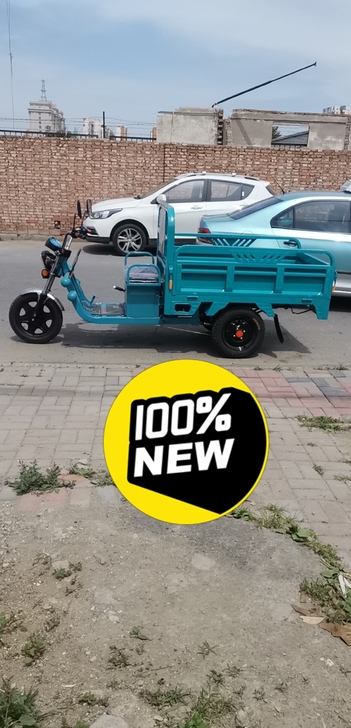 电动三轮车，新买的，就骑过一次，打算自己摆...