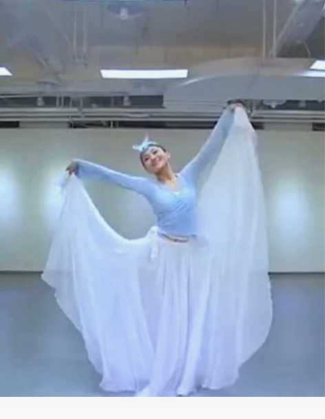 大摆裙 长裙大摆裙新款古典舞蹈服孙科同款花...