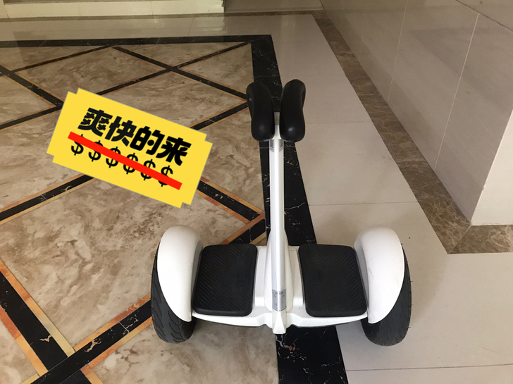 小米九号平衡车（可以搭配小米卡丁车套件那款...