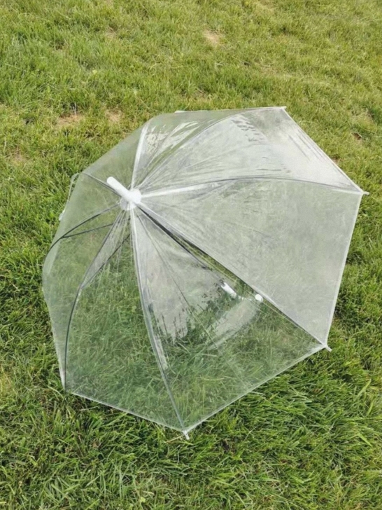 透明雨伞8骨半自动直柄长柄透明雨伞