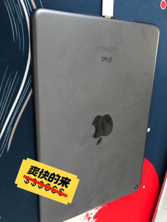 自用iPadmini5,64g,国行wif...