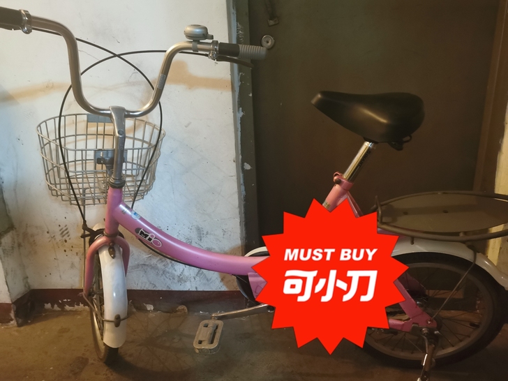 20寸捷安特自行车，好骑轻快，孩子大了，换...