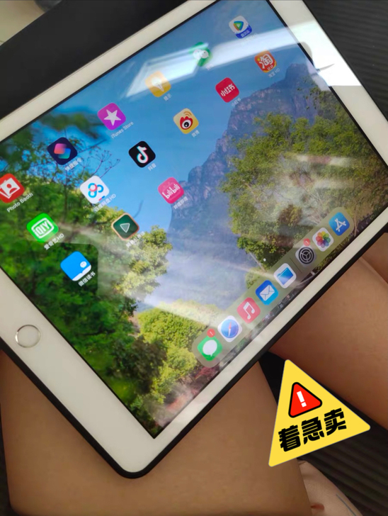 iPad Air 2 64g