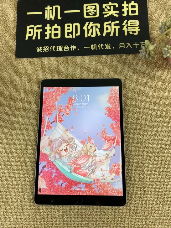256G苹果iPad Pro10.5寸二代...