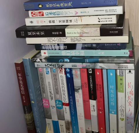 【二手书九成新】青春文学/小说   每本5...