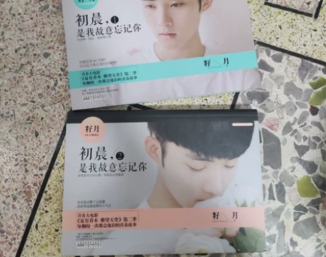 籽月小说 青春小说 初晨,是我故意忘记你1...