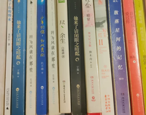 【出】上学时买的一些小说 10r一本便宜出...