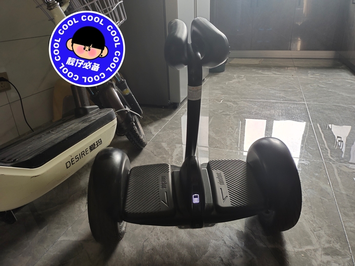 小米九号平衡车九成新，自己用的，孩子长大了...