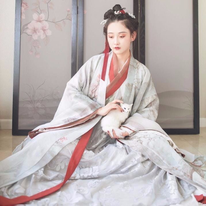 银狐汉服抖音魏晋中国风司南阁学生古装超仙气...