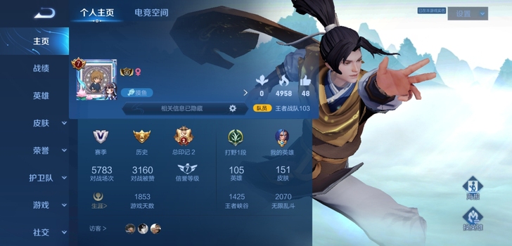 娱乐性王者账号，全英雄，151皮肤，趁我没...