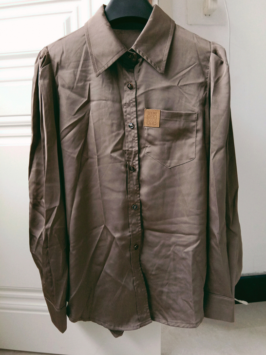 全新 光泽感 复古缎面长袖休闲衬衫女