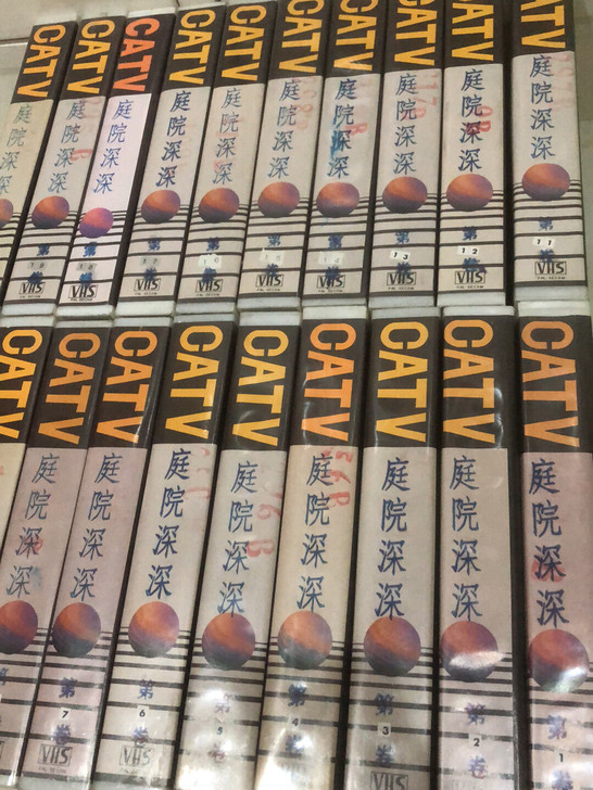 录像带 琼瑶  庭院深深