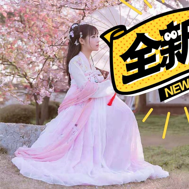 汉服女齐胸襦裙古装仙女清新飘逸传统汉服女绣...