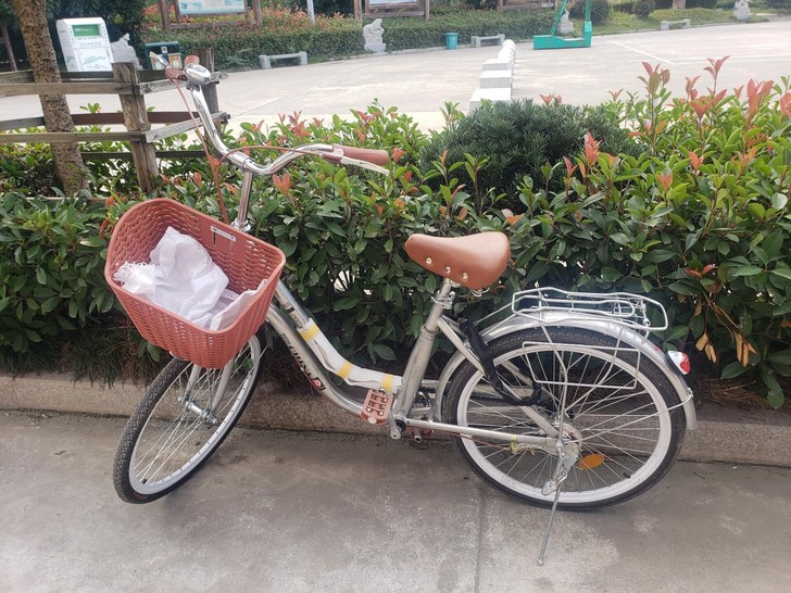 24寸银色单速自行车旗舰款成人男女单车