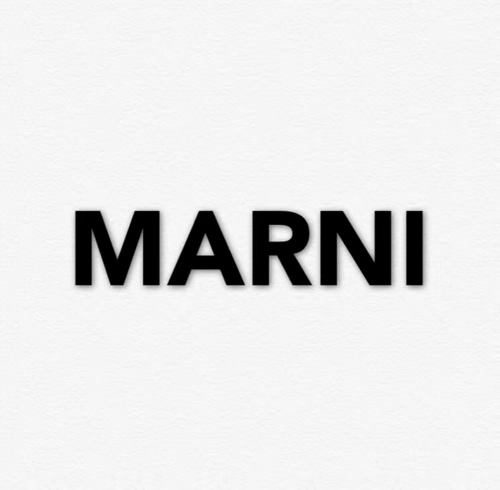 鉴定MARNI/marni风琴包trunk...