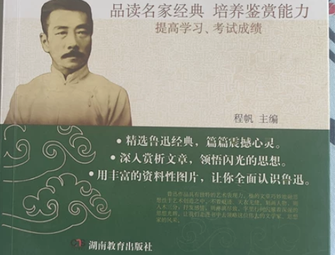 《鲁迅小说、散文、杂文精选集》 鲁迅的文字...