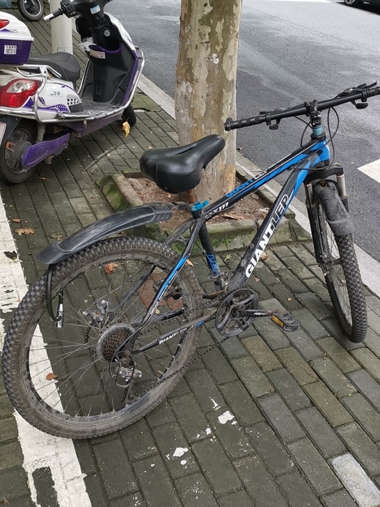品牌型号，捷安特山地自行车，因本人要回老家...