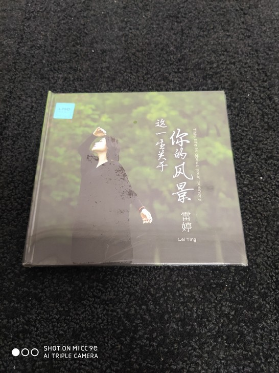 雷婷 这一生关于你的风景 cd