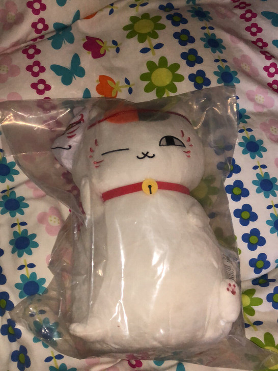 猫老师抽奖玩偶