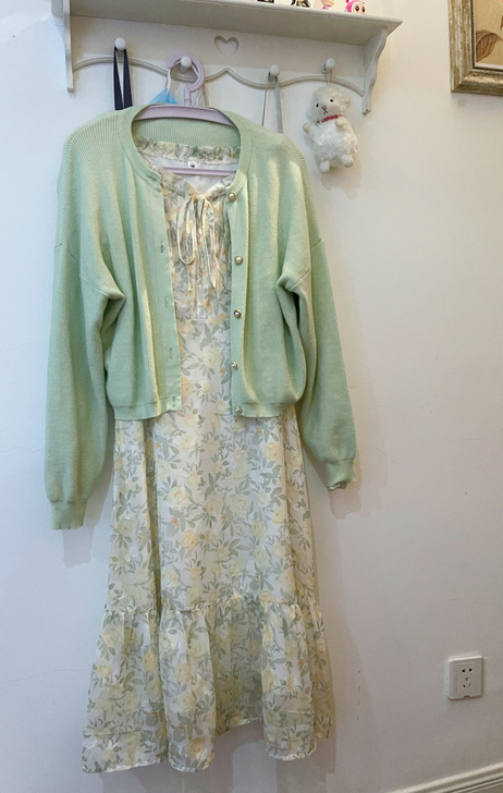 春秋款的温柔系裙子