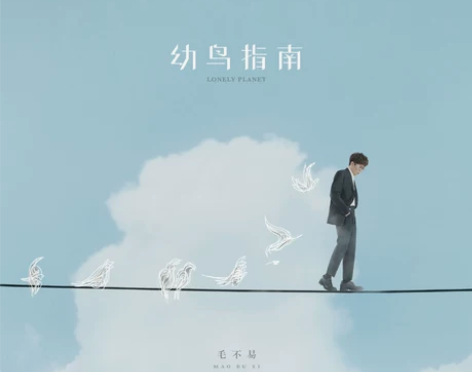 毛不易幼鸟指南黑胶唱片 全新全新 包装完好...