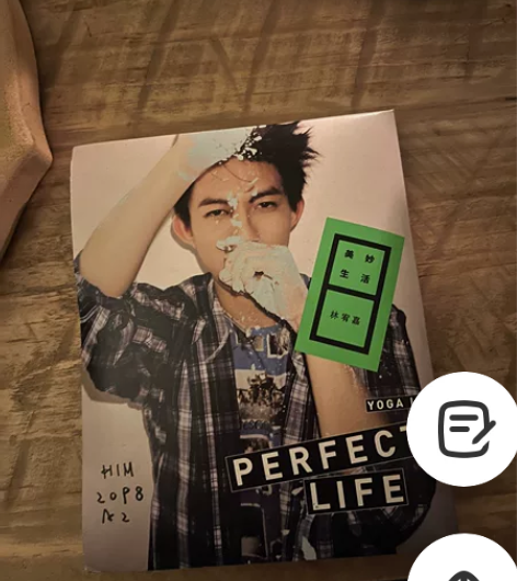 林宥嘉《美妙生活》专辑，封面+配件（海报，...