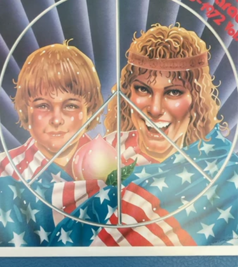 A美国流行音乐合集黑胶唱片lp，涵盖了众多...