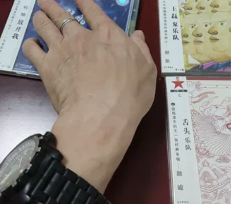 舌头乐队 这就是你、王磊 泵乐队、病蛹 放...