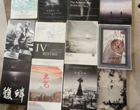 上海柯艾文化作品/青春小说/散文随笔打包 ...