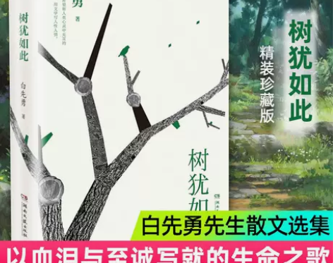 树犹如此  白先勇亲定选本代表作散文书籍选...