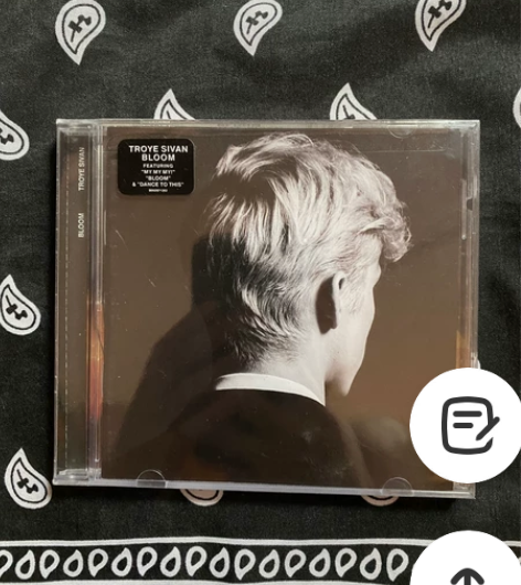 troye sivan bloom戳爷 盛...