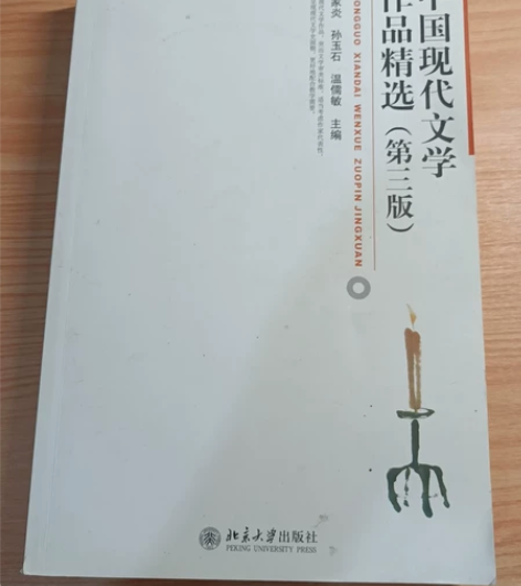 中国现代文学作品精选（第三版）严家炎 孙玉...