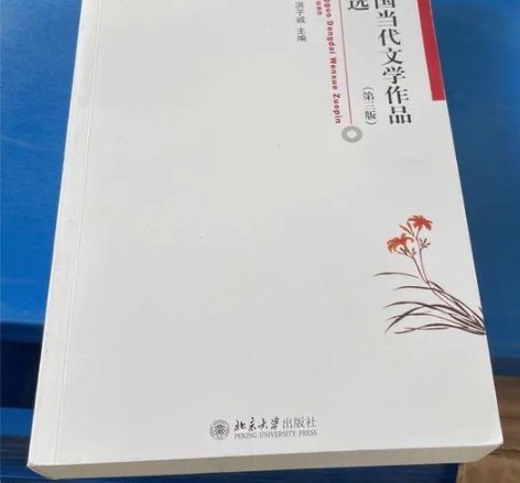 二手正版中国当代文学作品精选第三3版 谢冕...
