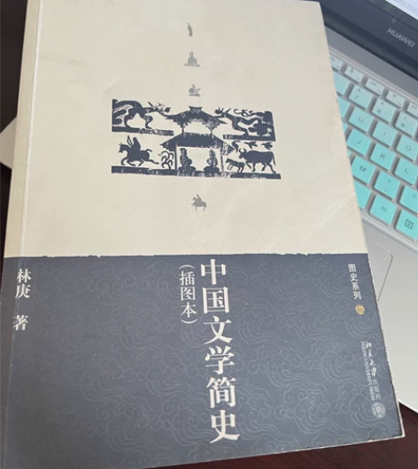 二手 包邮 正版   中国文学简史（插图本...