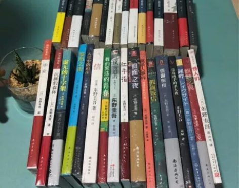 二手闲置文学小说推理悬疑心灵鸡汤书籍包邮 ...