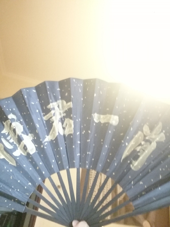 【出】博君一肖手写扇子 25r不包