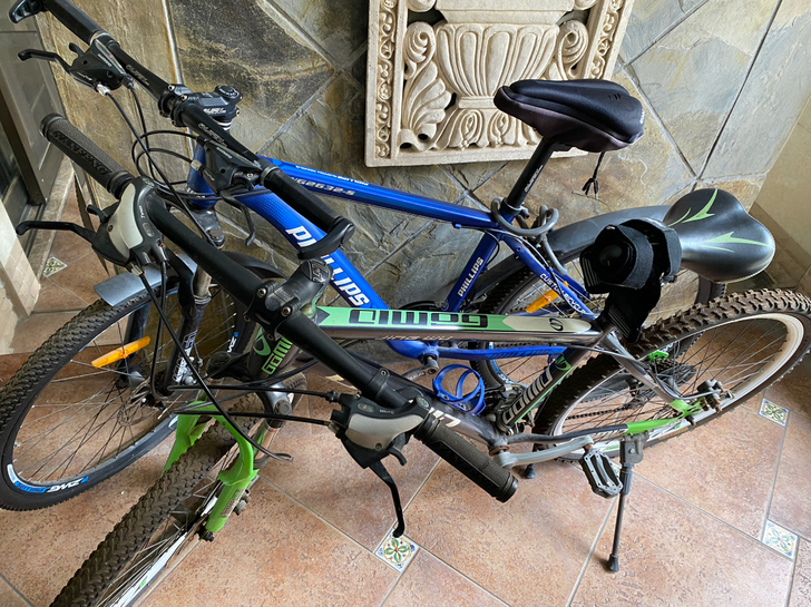 菲利普自行车，另外一辆忘了是什么，两辆一起...