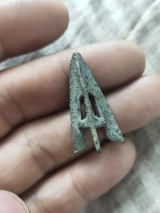 标本，可惜了，好东西没好命