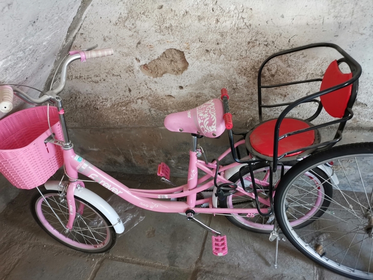 永久女士自行车，20寸，95新，赠送儿童座椅