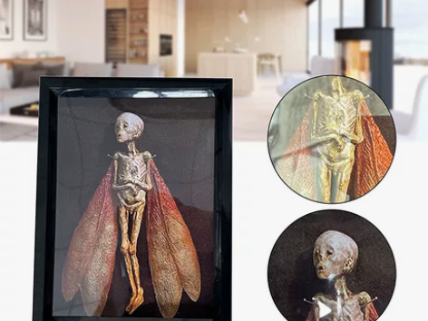 干尸画框 相框 独立站Cursed Ite...