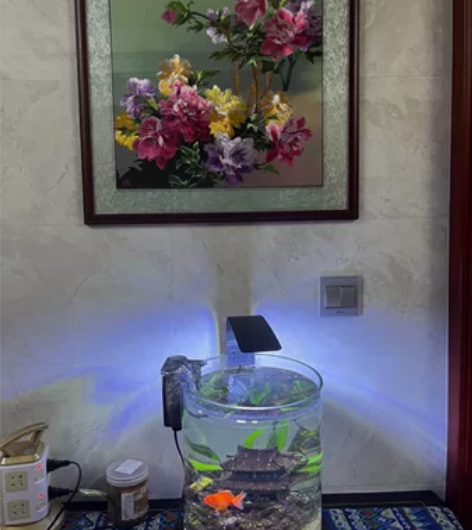 苏绣画。买家反馈。立体蚕丝真丝手工苏绣画。...