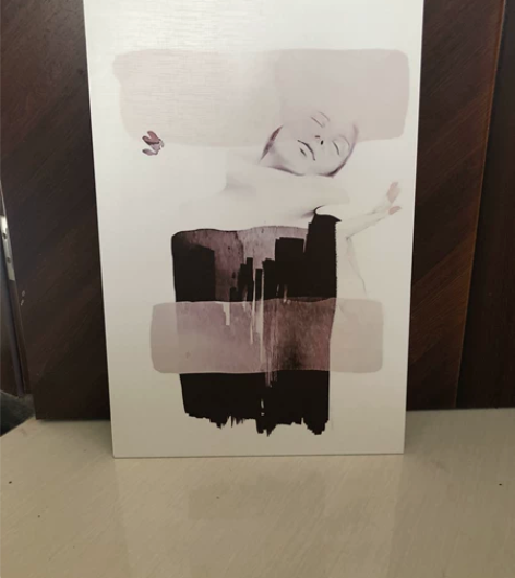 闲置北欧风简约挂画便宜出（同城可上门） 4...