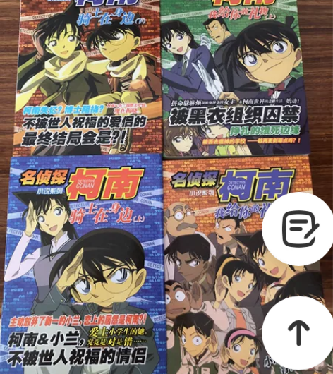 正版名侦探柯南新兰同人文小说 4本30非偏...