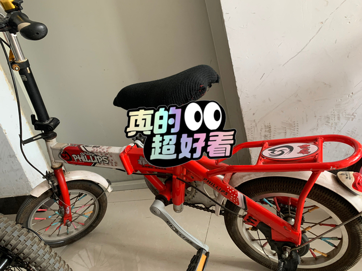 真的超值哦,菲利普正牌自行车孩子大了骑不着了