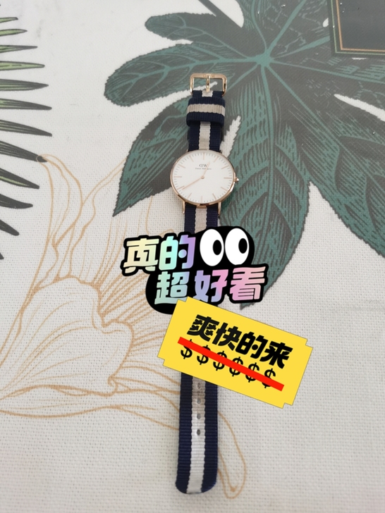 DW 腕表 专柜购入 便宜出  喜欢的速入...