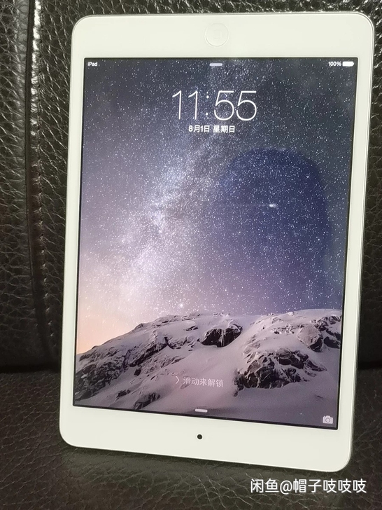 ipad mini2