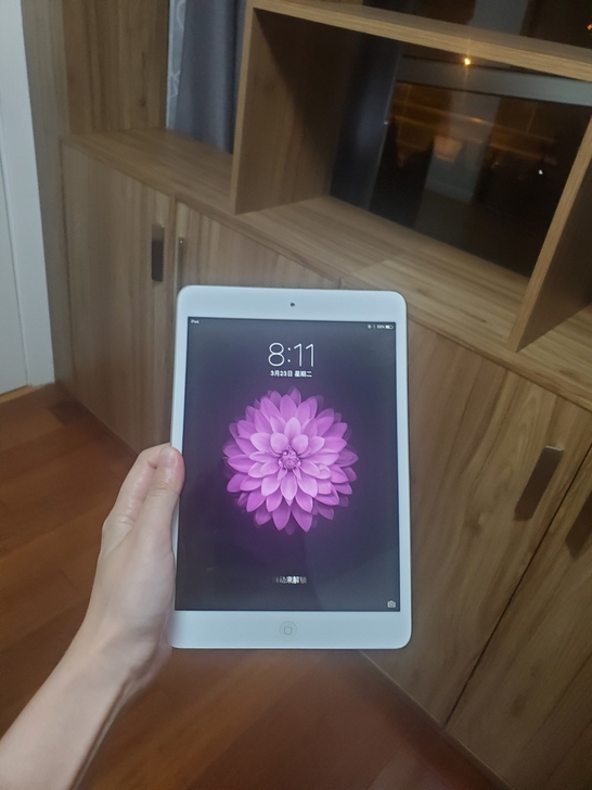 iPad迷你 第一代,可以正常使用。购于北...