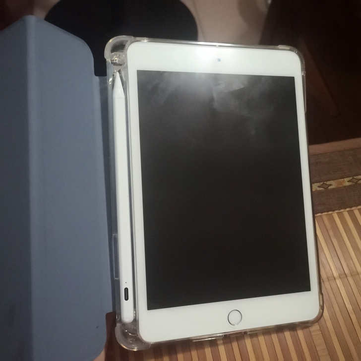 iPad mini 5  64G 京东自营...