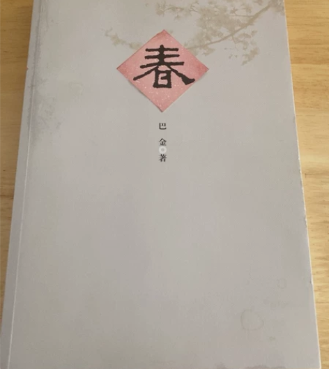文学小说逐光之旅、巴金域外小说、生肉全新带...