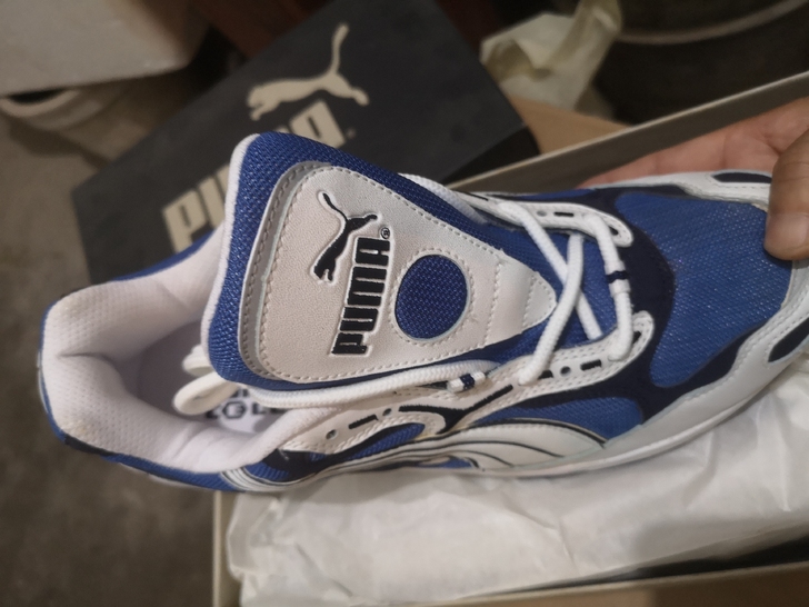 puma彪马运动鞋，保真，全新，43码，带...